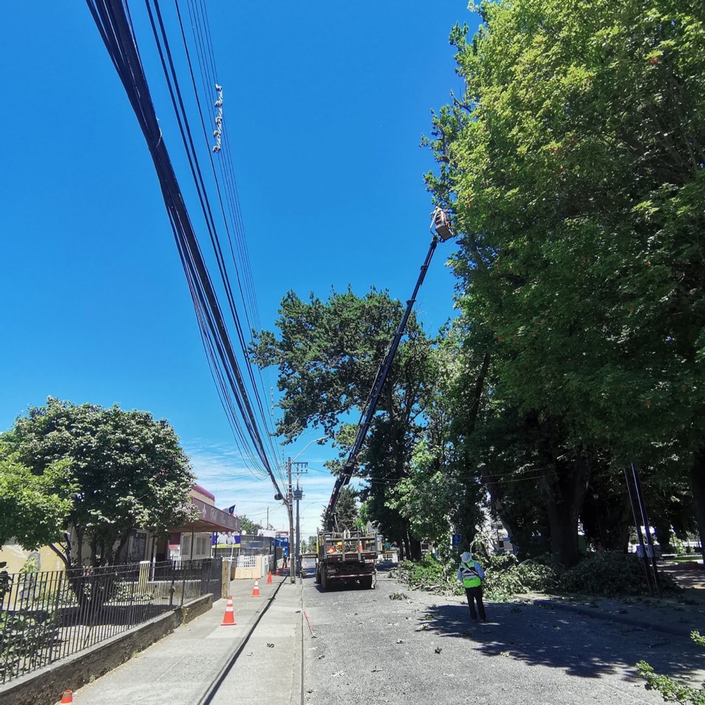 Poda con camión pluma cerca de cableado urbano