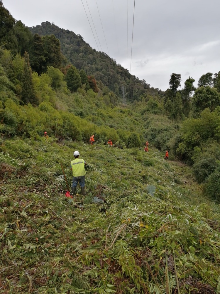 Cuadrilla realizando roce de faja eléctrica en terreno rural