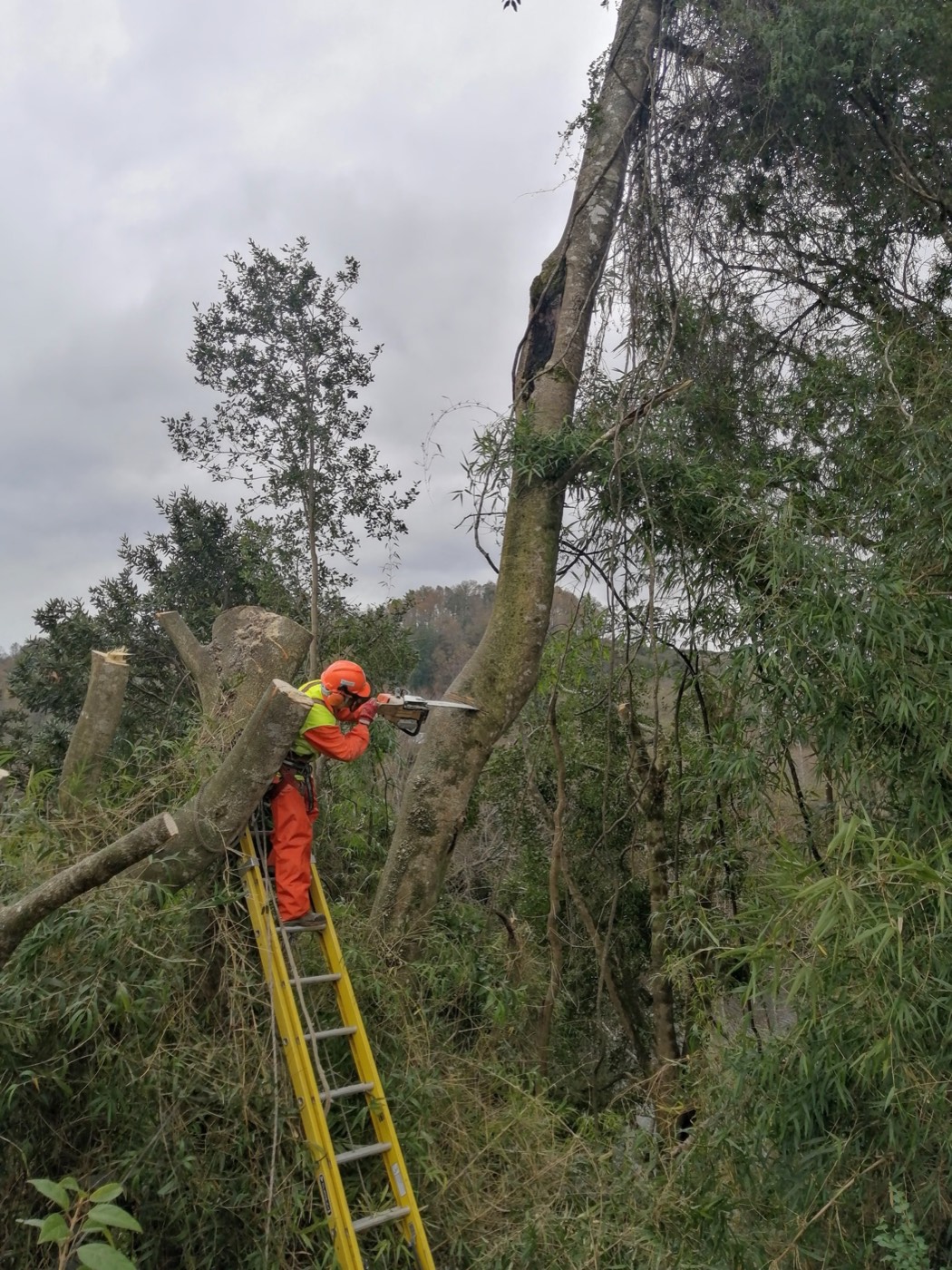 Operador con equipo de seguridad realizando corte controlado