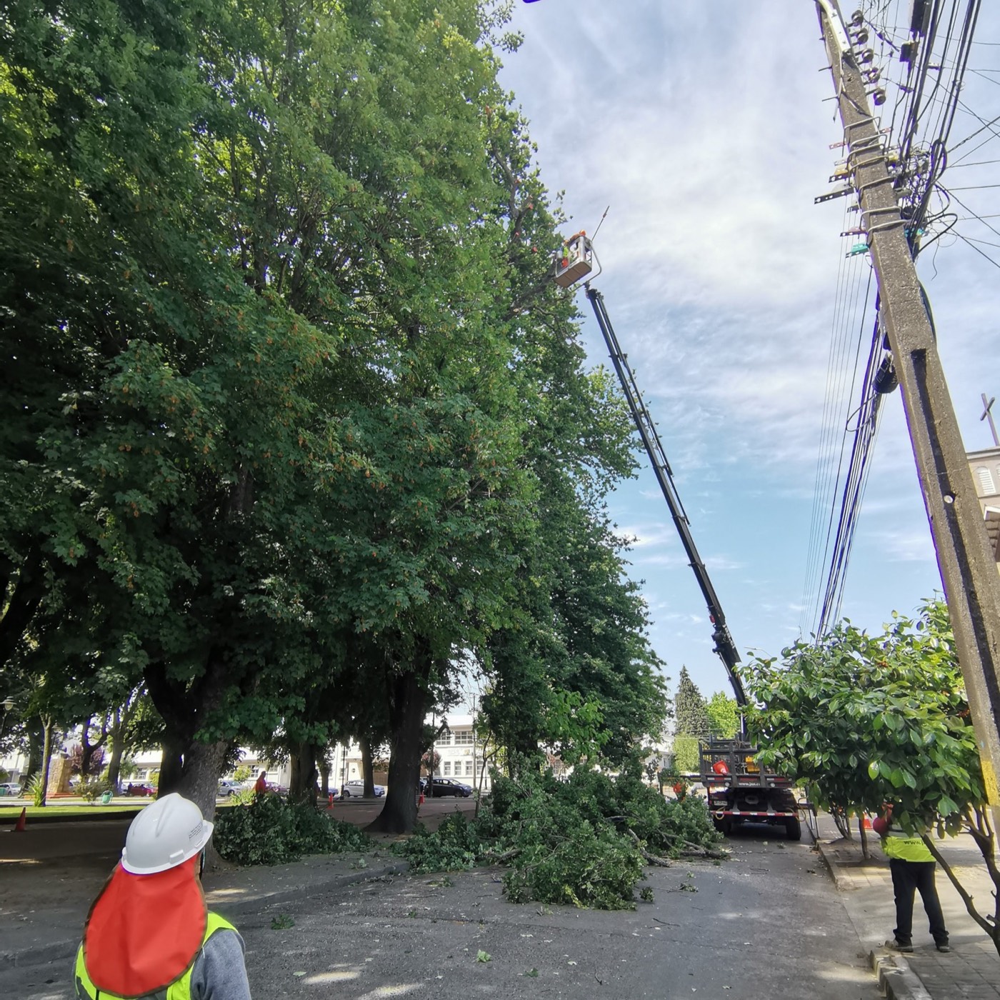 Camión pluma trabajando en poda urbana con señalización de seguridad
