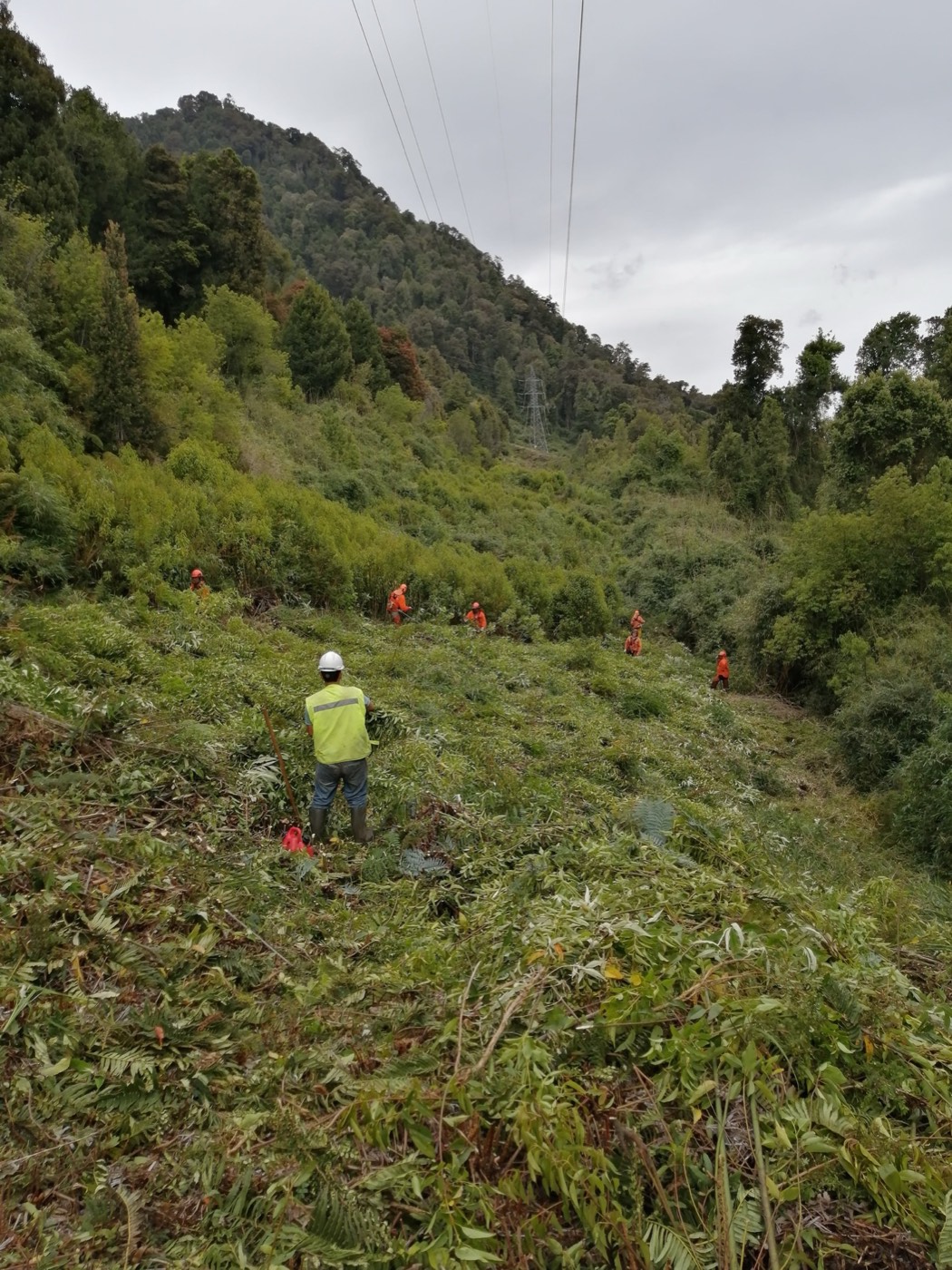 Cuadrilla realizando roce de faja eléctrica en terreno rural