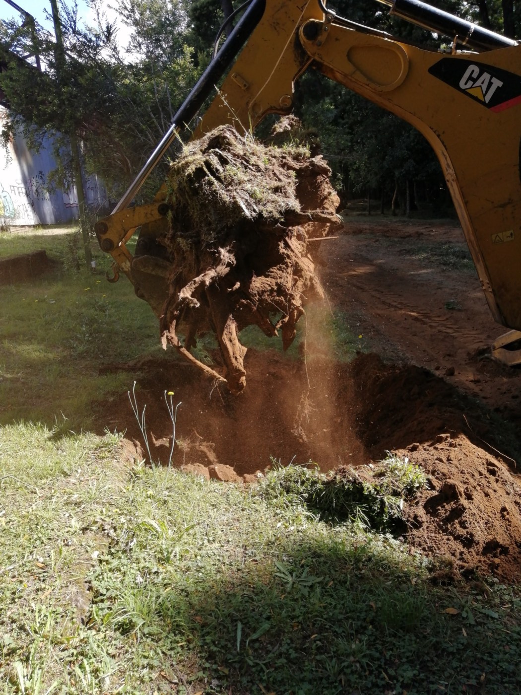 Excavadora apoyando extracción de raíz en terreno